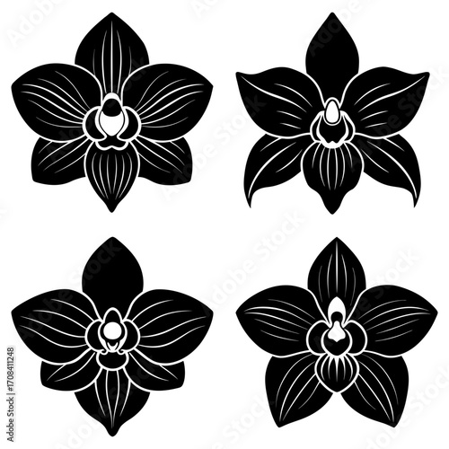 Four black and white orchid flowers arranged in a square pattern on a white background design element