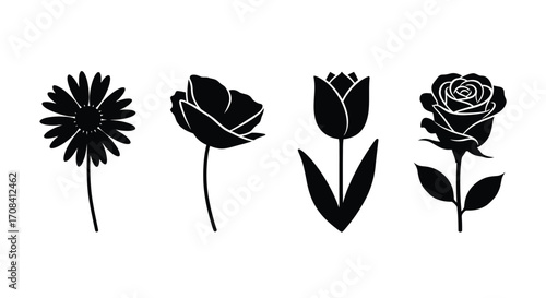 Set of four diverse floral silhouettes botanical icons for elegant design projects vector