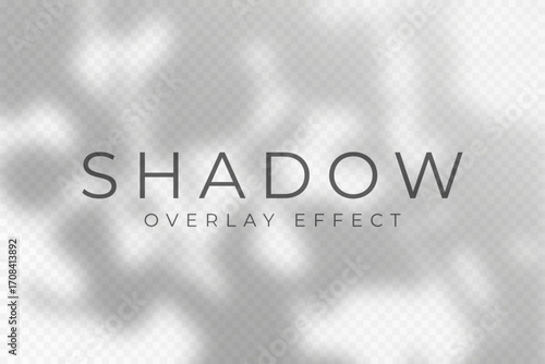Shadow overlay effect. Transparent soft light and shadows from plant branches, leaves and foliage. Mockup of abstract transparent shadow overlay effect and natural lightning scene. Vector