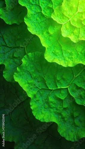 A vibrant and dynamic green energy texture, perfect for eco-friendly concepts and renewable energy campaigns , renewable, foliage