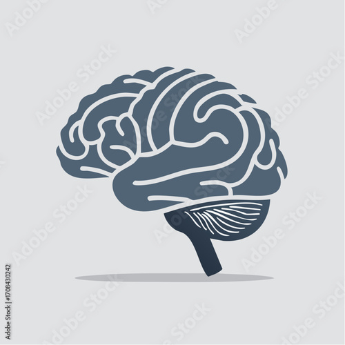 Human Cerebrum Outline Illustration