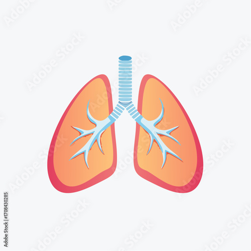 Illustrative Depiction of the Human Respiratory System
