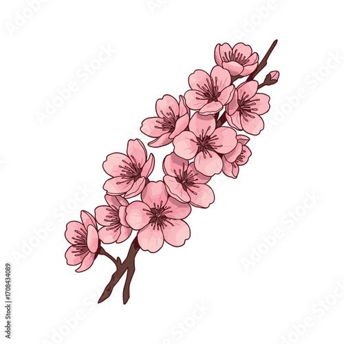 Cherry blossom branch in nature floral illustration tranquil environment artistic viewpoint beauty concept. Vector illustration