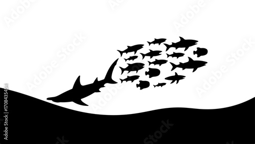 Black and White Ocean Animals