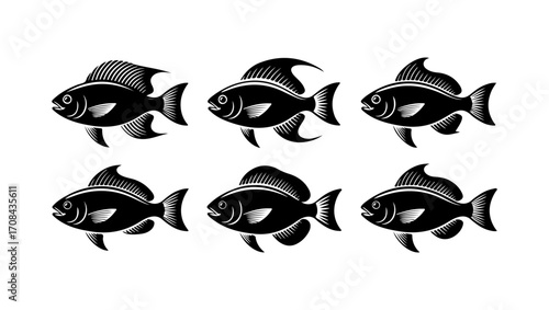 Various Fish Silhouettes Collection