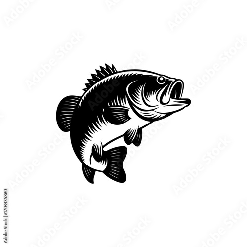 Black and White Bass Fish Illustration