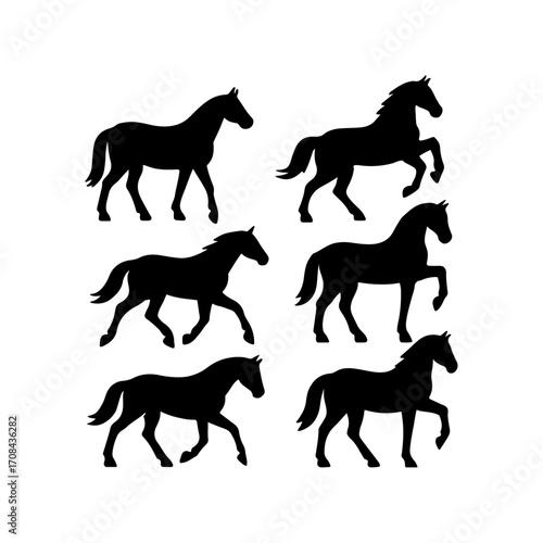 Horse Silhouettes Collection