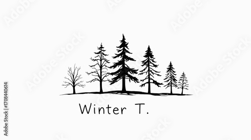 Silhouette of a group of trees, including evergreens and bare branches, with "Winter T." text below.