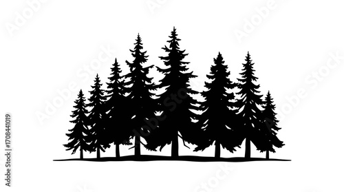 Silhouette of a group of evergreen trees against a white background.