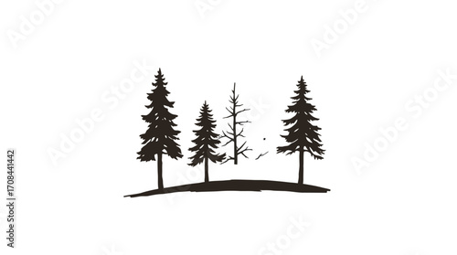 Silhouette illustration depicting a group of evergreen trees on a simple, sketched ground.