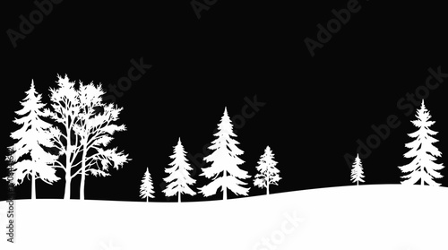 White silhouettes of evergreen and deciduous trees stand against a black night sky, atop a snow-covered hill.