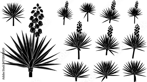  yucca silhouette line art vector illustration with a white background