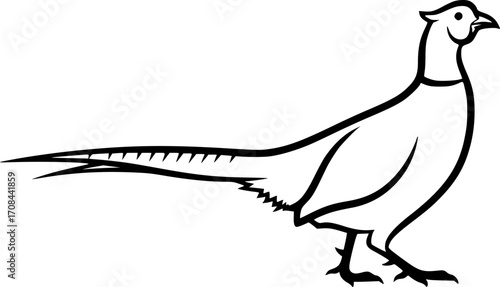 pheasant silhouette line art vector illustration with a white background