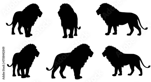 Majestic Lion Silhouettes in Various Poses.