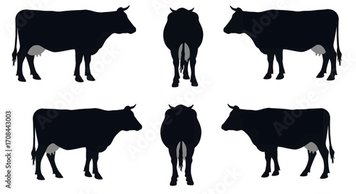 Silhouettes of dairy cows from various angles showcasing their distinct forms.