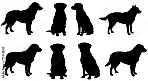 Silhouettes of Labrador Retrievers in Various Poses.