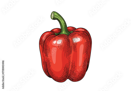 A vibrant red bell pepper with a green stem against a white background.