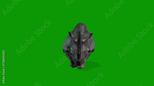 3D Rhino Animation on Green Screen-Walking Front Side