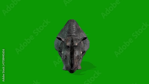 Realistic Rhino Attacking Scene From Front Side 3D Rendering Animation on Green Screen