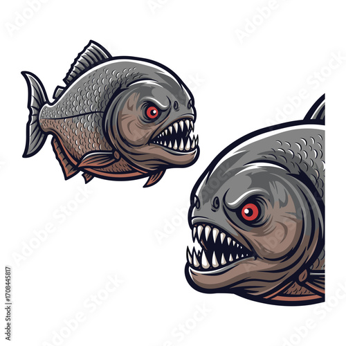 Piranha Fullbody and Close-Up Illustration for Wild Design