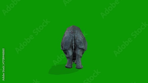 Realistic Rhino idle Scene Back Side 3D Rendering Animation on Green Screen