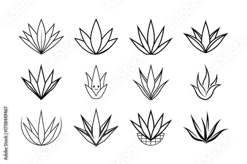 wheat ears vector illustration patten flower bundle
