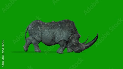 Realistic Rhino Walking Fast From Right Side 3D Rendering Animation on Green Screen