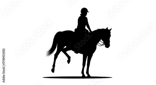 Elegant silhouette of a rider on horseback, capturing the spirit of equestrian sport and freedom.