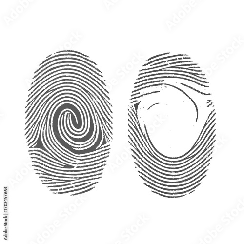A detailed black vector illustration of a unique fingerprint, a symbol of identity used in forensic security and detective work.  finger, thumb, imprint, ink, id, design, sign