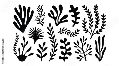 Seaweed Silhouette Collection,  Abstract Algae Shapes, Black Underwater Plants, Ocean Botanical Vector Elements, Marine Flora for Coastal Design, Nature Illustration Set, Minimal Aquatic Decor