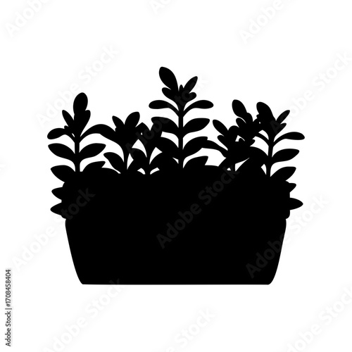 Silhouette of plants in a rectangular pot, modern, minimalist design element