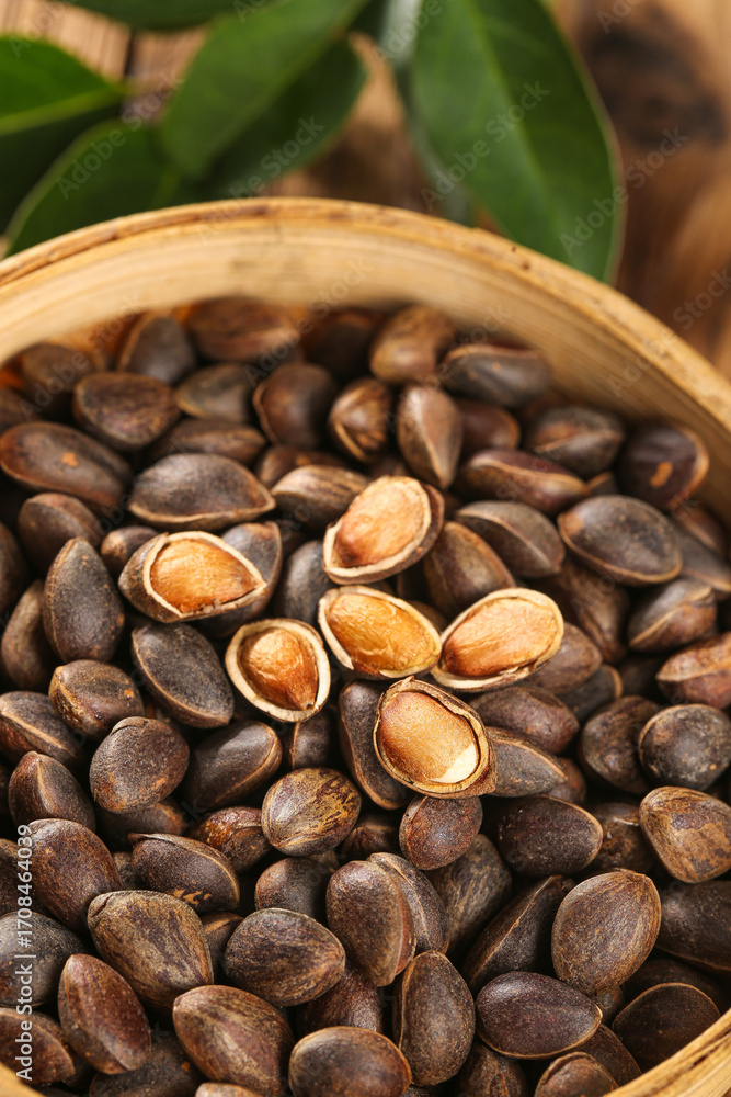 Fototapeta premium Fresh Wild Pine Nuts Harvested from Deep Forest in Wooden Basket with Natural Shells and Seeds