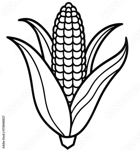 Fresh, isolated ear of corn with green leaves, a natural agriculture and food vector illustration