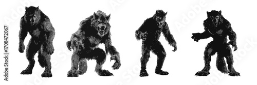 Halloween werewolf illustration in halftone grunge style for spooky horror and full moon themed design