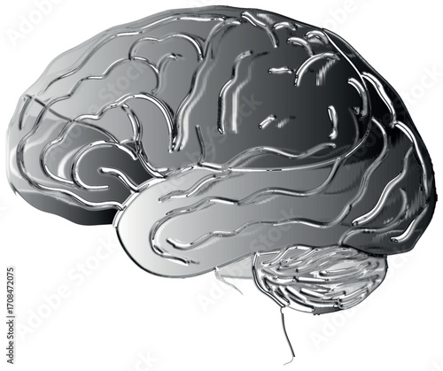 Chrome Human Brain Anatomy