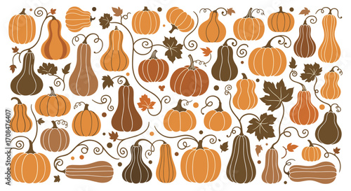 A whimsical collection of assorted gourds and pumpkins for autumn.