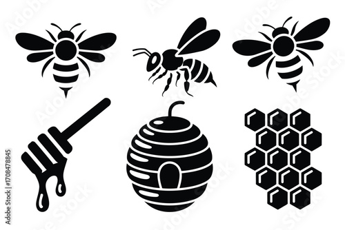 Bee and Honey Vector Illustration Pack