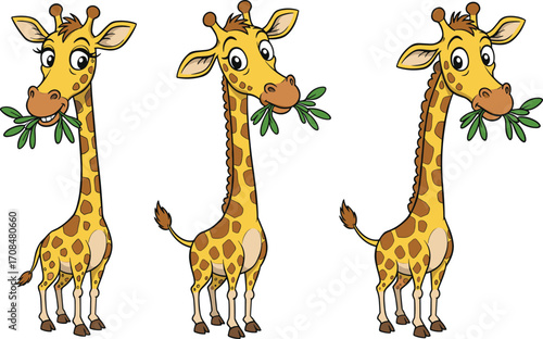 Cute cartoon giraffe illustration with three different poses eating green leaves, funny animal character vector art for children, wildlife theme