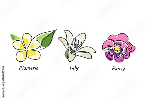 Line Art Floral Trio Plumeria Lily and Pansy Blossoms. line icon-continuous line drawing. Editable stroke. 