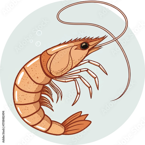 Cartoon Shrimp Illustration with Antennae on Circle Background