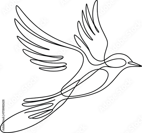 Elegant single line drawing of a bird in flight capturing freedom and grace