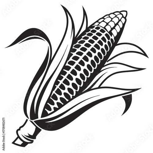 Corn cob silhouette isolated on white background
