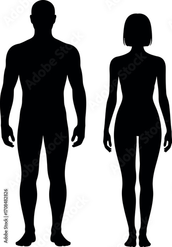 Silhouette of male and female figures standing side by side with detailed anatomy black and white vector