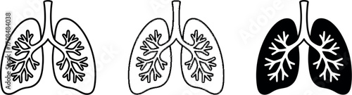 Detailed medical representation of human lungs showing three different styles for anatomical study vector