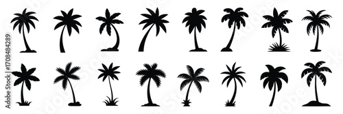 Palm Tree Silhouettes Set,  Tropical Beach, Island, and Jungle Elements, Minimalist Nature Graphics, Summer Vacation Illustration, Coastal Decor, and Tropical Design Vector Artwork