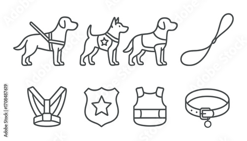 Service dogs and accessories: harnesses, badges, and collars