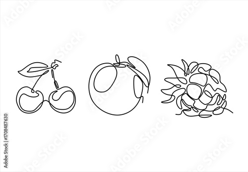 Line Art Fruits Cherries, apple, and Raspberry in Continuous Outline. line icon-continuous line drawing. Editable stroke. 