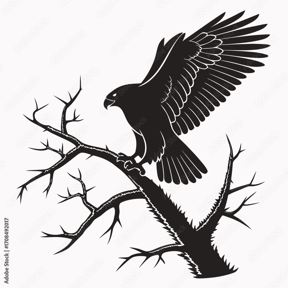 Obraz premium Eagle perched on thorny branch silhouette isolated on white background
