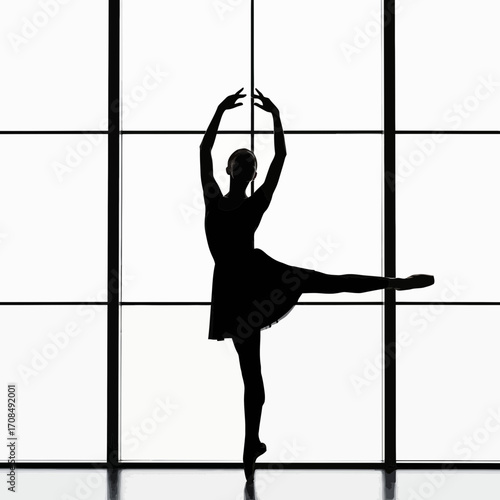 silhouette of a woman