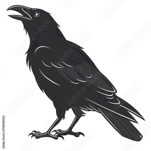 Black crow silhouette isolated on white background